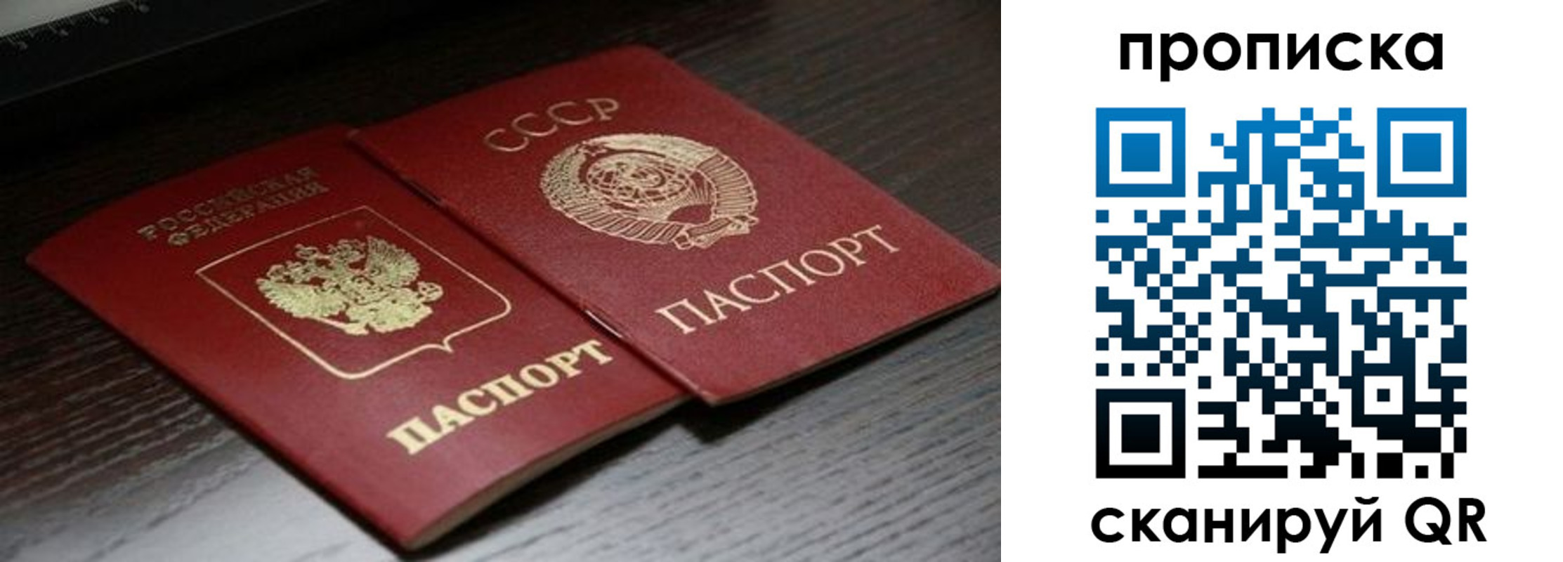 прописка в квартире в Благовещенске